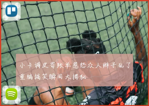 小卡调皮寄账单惹怒众人辫子乱了重编搞笑瞬间大揭秘