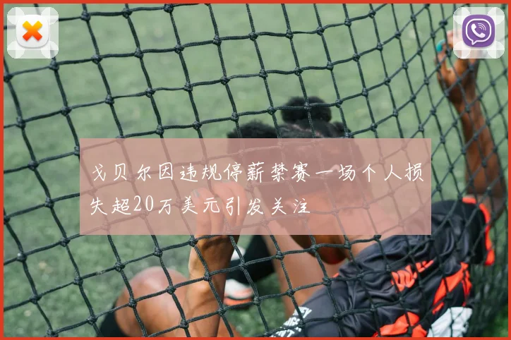 戈贝尔因违规停薪禁赛一场个人损失超20万美元引发关注