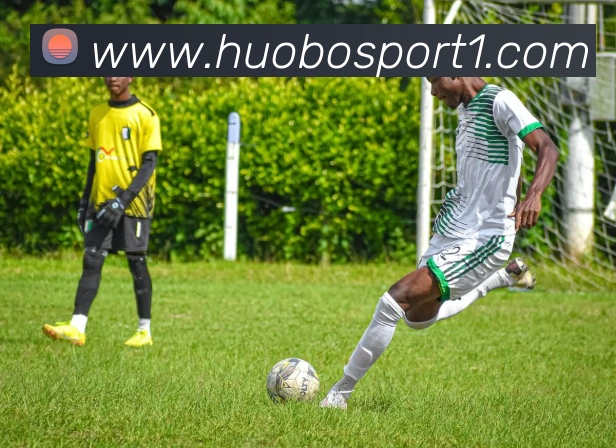 火博体育APP 封面图